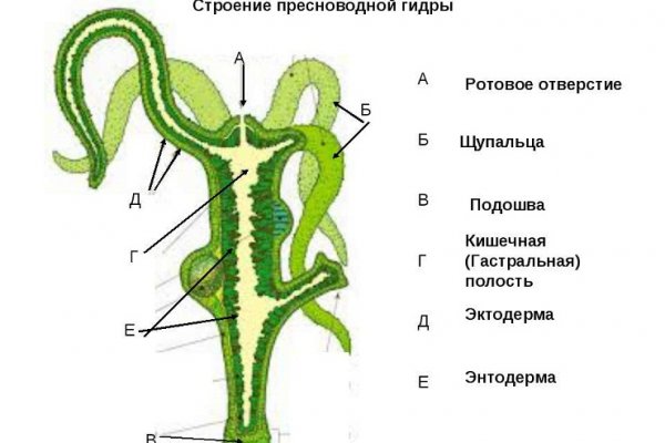 Украли аккаунт на кракене что делать